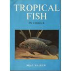[ английский язык ] TROPICAL FISH IN COLOUR
