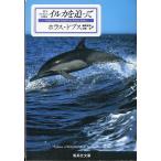イルカを追って　＜送料無料＞