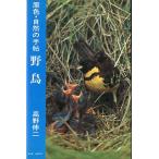 原色・自然の手帖　野鳥　＜送料無料＞