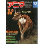 anima<ANIMA> 1982 год 10 месяц No.116 < включая доставку >