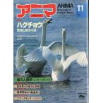 Yahoo! Yahoo!ショッピング(ヤフー ショッピング)アニマ＜ＡＮＩＭＡ＞　１９８２年１１月　　Ｎｏ．１１７　＜送料込＞