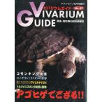 bi шероховатость um гид 2007 год 6 месяц *No.37 < бесплатная доставка >