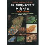 . насекомое * земноводные visual гид ящерица 1agama.& игуана .< бесплатная доставка >