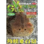 bi шероховатость um гид 2003 год 2 месяц *No.20 - дополнение постер нет -