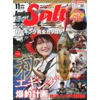 Angling Salt�@�A���O�����O �\���g�@2024�N11�����E�ʊ�100���@�|�H�G�M���O���ތv��|