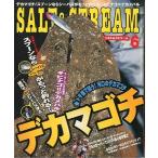 SALT&amp;STREAM( соль & Stream ) 2005 год 6 месяц номер < бесплатная доставка >