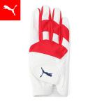 [1 день -4 день 20 раз ] мужской Golf Fusion рукоятка перчатка 2.0