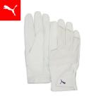 [1 день максимальный 22 раз ][ официальный ] PUMA Puma унисекс Golf Shadow winter перчатка SHADOW Winter Gloves