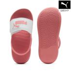 [1 день -3 день 19 раз ] официальный Puma PUMA Kids pop кошка 20 задний ремешок сандалии 17-21cm ребенок ... ученик начальной школы колодка 