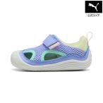 [ официальный ] Puma PUMA baby Puma ki тонн summer спортивные туфли V in вентилятор to12-16cm ребенок Kids shu