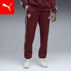 [23 день 10 раз ] мужской футбол Portugal представитель King Anne sem брюки 