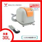 AP-30P（１２方分岐装置付き） エアーポンプ ＡＰ−３０P 安永エアポンプ  １年保証付　送料無料