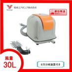 AP-30P(8 person ответвление оборудование имеется ) компрессор AP-30P дешево . воздушный насос 1 год с гарантией бесплатная доставка 