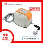 AP-40P(4 person ответвление оборудование имеется ) компрессор AP-40P дешево . воздушный насос 1 год с гарантией бесплатная доставка 