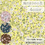 【10cm単位】生地 布 ブロード 綿100％ 花柄 小花 北欧風 ボタニカル【数量3以上】