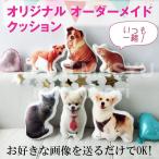 お試し版 オリジナル ペット メモリアル クッション オーダーメイド 誕生日 プレゼント ペット供養 犬 猫 うさぎ