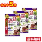 ■3個セット・ポイント5倍・送料無料■日本薬健 葛花茶プラス お徳用(40袋)(機能性表示食品)