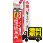 * почтовая доставка * бесплатная доставка * clean зубной N зуб .. утечка лекарство 16g [ no. 3 вид фармацевтический препарат ] [3~5]