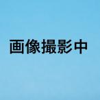 折りたたみ三輪車 それいけ!アンパンマン オールインワンUP II