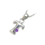Yahoo! Yahoo!ショッピング(ヤフー ショッピング)ネックレス レディース 天然石 イニシャル T イニシャル 2月誕生石 アメジストペンダント ネックレス CanCam掲載 オーダー