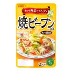 日本食研 焼ビーフンの素 110g