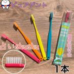 フィード　占いシュシュ　歯ブラシ　1本　shushu　フラット毛　毛の硬さ(ふつう)
