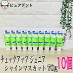 ライオン チェックアップ ジュニア シャインマスカット 70g×10個 子ども 歯磨き粉 Check-Up junior