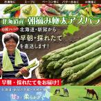 高い 肉 より感動 とにかく 旨い！！  小松さんちの朝摘み極太 アスパラ 北海道 新冠産 500g L〜2L 口コミ ランキング おすすめ お取り寄せ