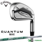  Callaway QUANTUM MAX железный одиночный товар (I#5,AW,GW,SW)NS PRO 950GH neo steel вал 2026 год модели 