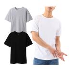 ヘインズ ビーフィー �