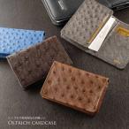 ショッピング名刺入れ オーストリッチ名刺入れ カードケース (No.9079m)【■SAN■】