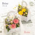 プリザーブドフラワー 誕生日 花 プレゼント 母の日 結婚祝い 出産祝い 新築祝い 退職祝い 送別 お礼 記念日 ウッド 木 ブリーズ