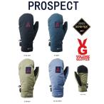 スノーボード スノボ グローブ 2019-2020 VOLUME GLOVES ボリュームグローブ PROSPECT GORE-TEX