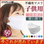 国内50枚セット マスク