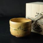 美濃焼 小抹茶碗 黄瀬戸筒型木箱入�