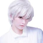 コスプレ用 ウィッグ 銀髪 白髪 ビジュアル