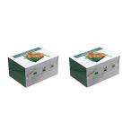 2個セット フローラルフォーム 日本製 生花用スポンジ 約15.2×11×8cm