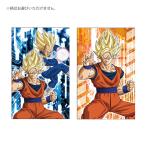 Dragon Ball Zpochi пакет 3 листов ввод 2 рисунок внутри который . достигать .. наслаждение 600270013 [M рейс 1/10]