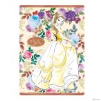 ディズニー・プリンセス　美女と野獣　下敷き　B5　4901772208839　新入学文具　[M便 1/20]