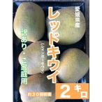  Ehime префектура производство красный киви ( Rainbow красный )2 kilo примерно 30 шт передний и задний (до и после) есть перевод *. для бытового использования 