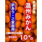  Ehime префектура Hachiman . производство есть перевод . сырой мандарин 10 kilo [ большой шар размер ]2L~3L простуда предотвращение * вода минут ..
