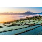  составная картинка 1000 деталь утро выгорание. Fuji . полки рисовое поле Yamanashi Япония пейзаж Apple one 1000-914