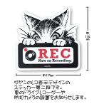 ダヤンGoods・ステッカー　ＲＥＣ＃３【完売しだい終了】