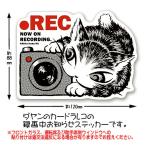 わちふぃーるどダヤン・ステッカー　ＲＥＣ＃４【完売しだい終了】