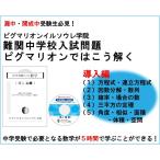 難関中学校入試問題　ピグマリオンではこう解く　導入編