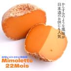 ショッピングチーズ ミモレット 22ヶ月 熟成 150g 22M ナチュラルチーズ オレンジ チーズ からすみ 風味  日本酒 焼酎 和