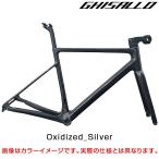 ギザロ GE-110 エンデュランスロード フレームセット GHISALLO