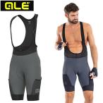 areSTONES CARGO BIBSHORTS ( Stone z cargo bib шорты )GREY ale бесплатная доставка 