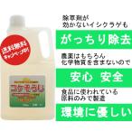 コケそうじ 業務用 濃縮液 ２L 20倍希釈  業務用 送料無料 無農薬 コケ取り コケ取り剤 コケ取りスプレー 化学物質ゼロ パネフリ工業 除草剤