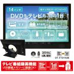  портативный DVD плеер 14 дюймовый телевизор цифровое радиовещание Full seg 1 SEG аккумулятор встроенный 3 источник питания автомобильный сумка имеется HDMI ввод OT-FTD14AK